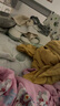 拉夏貝爾（La Chapelle）2025秋冬季新款小香風(fēng)毛呢短款外套女小個(gè)子春秋百搭顯瘦上衣潮 粉色 M 建議95-105斤 曬單實(shí)拍圖