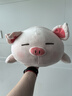 名創(chuàng  )優(yōu)品（MINISO）小豬柴犬狗抱枕靠枕床頭靠墊趴睡枕沙發(fā)卡通可愛(ài)軟沙發(fā)布藝擺件 BOBO豬抱枕 曬單實(shí)拍圖