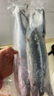 純色本味 冷凍精品秋刀魚(yú)凈重2斤 燒烤食材 生鮮魚(yú)類(lèi) 曬單實(shí)拍圖