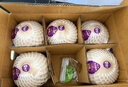 佳沃 JOYVIO泰國進(jìn)口椰青香水椰子 6個(gè)裝 中果800g+ 水果 源頭直發(fā) 中秋禮盒 曬單實(shí)拍圖