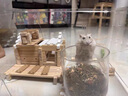 EZF魯班榫卯積木小小建筑師益智拼裝玩具木頭房子男女孩木質(zhì)屋積木 【標準款】榫卯積木1盒【105pcs】 曬單實(shí)拍圖