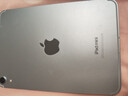 Apple/蘋果 iPad mini (A17 Pro) 8.3英寸 平板電腦(256G eSIM版/mini7/MXQ53CH/A)藍(lán)色 曬單實(shí)拍圖