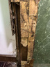 山甲牌白蟻藥殺蟲(chóng)劑白蟻防治專(zhuān)用藥傳染全巢殺蟲(chóng)粉裝修預防滅白螞蟻水蟻 曬單實(shí)拍圖