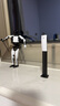 特斯拉（Tesla）官方 Tesla Bot 擺件人形玩偶機器人模型 曬單實(shí)拍圖