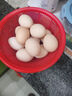 宛味佳新鮮現撿農家散養土雞蛋 12枚裝 曬單實(shí)拍圖