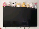 海信電視55E3NH Pro 55英寸 144Hz高刷 杜比全景聲 智能Wi-Fi6 U+超畫質 大內(nèi)存 國家補貼20%平板電視 曬單實拍圖