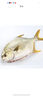 1號會(huì )員店（One's Member）甄選海南二去金鯧魚(yú)去鰓去內臟生鮮魚(yú)類(lèi) 海鮮水產(chǎn) 700g/2條裝 曬單實(shí)拍圖