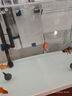精品金魚(yú)觀(guān)賞魚(yú)養不死自來(lái)水鴻運當頭好養耐活魚(yú)冷水淡水魚(yú)風(fēng)水魚(yú) 精品金魚(yú)組合顏色隨機 5-7厘米7條 曬單實(shí)拍圖