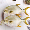 翔泰海南二去金鯧魚(yú)700g/2條  去鰓去內臟燒烤生鮮魚(yú)類(lèi)  海鮮水產(chǎn)中秋 曬單實(shí)拍圖
