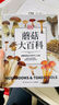 DK蘑菇大百科：視覺(jué)工具書(shū)經(jīng)典品牌DK打造，可以放在書(shū)架上的蘑菇博物館 曬單實(shí)拍圖