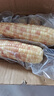 京鮮生【品質(zhì)好貨】版納花糯玉米凈重4斤單果100g+真空包裝源頭直發(fā) 曬單實(shí)拍圖
