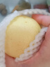 京覓河北趙縣脆甜白皇冠梨凈重4.5斤單果230g+新鮮水果源頭直發(fā) 曬單實(shí)拍圖