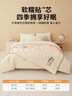 無(wú)印良品子母被二合一大豆被子冬夏春秋四季被芯(4+6)10斤200x230cm拉鏈款 曬單實(shí)拍圖
