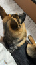  鮮肉無(wú)谷中大型犬全價(jià)狗糧20kg(10kg*2袋)成犬幼犬狗糧金毛 曬單實(shí)拍圖