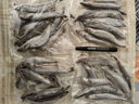 京東超市 海外直采挪威多春魚(yú)2斤(4*250g）40-50條 公母混合  燒烤魚(yú)類(lèi) 曬單實(shí)拍圖