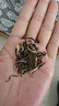 一杯香茶葉茉莉花茶橫縣特級500g2025新茶禮盒裝茉莉綠茶花草茶自己喝 曬單實拍圖