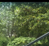 澳麟無(wú)骨雨刮器/雨刷器片上汽通用別克新英朗16/17/18/19款至今原廠(chǎng)原裝原車(chē)尺寸A級膠條 曬單實(shí)拍圖