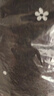 百圖betu女裝春夏新款襯衫優(yōu)雅國潮短袖襯衫新中式小衫女2403T52 淺杏色 M 曬單實拍圖