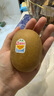 佳沛（zespri）x1號會(huì )員店聯(lián)名款陽(yáng)光金奇異果20粒禮盒單果約146-175g水果獼猴桃 曬單實(shí)拍圖