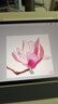 Procreate+iPad水彩繪畫(huà)入門(mén)教程 曬單實(shí)拍圖