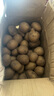 瘋搶土豆新鮮現挖2025新土豆農家馬鈴薯黃皮黃心 黃心土豆小果 9斤(凈重) 曬單實(shí)拍圖