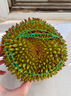 喜得貓正宗馬來(lái)西亞進(jìn)口D197貓山王榴蓮液氮生鮮水果樹(shù)熟冷凍順豐包郵 AA級 3.2-3.59斤【保4-5房 兩人分享】 曬單實(shí)拍圖