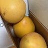 京地達柚子福建紅心蜜柚三紅蜜柚紅肉水果送禮凈重4.5斤2個(gè)裝源頭直發(fā) 曬單實(shí)拍圖