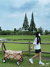 westfieldoutdoor戶(hù)外露營(yíng)車(chē)我飛露營(yíng)裝備聚攏折疊營(yíng)地推車(chē)野營(yíng)野餐車(chē)手拉拖車(chē) （軸承）靜音橡膠輪 曬單實(shí)拍圖