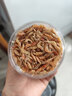 熱帶魚(yú)河豚魚(yú)潛水艇魚(yú)斑馬狗頭飼料淡水蝦干巴西龜飼料通用糧包郵 淡水蝦干270毫升/1罐 曬單實(shí)拍圖