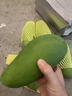 顧果鮮芒果新鮮廣西大青芒當季熱帶時(shí)令孕婦水果青皮甜心青芒果 9斤 精選特大果【單果400g+】 曬單實(shí)拍圖