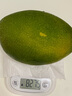 【新鮮上市】正宗攀枝花凱特芒果新鮮水果 帶箱2斤400g+（1-2個(gè)） 曬單實(shí)拍圖