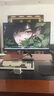 泰坦軍團(tuán)27英寸4K 160Hz高刷雙模320Hz FastIPS HDR400硬件低藍(lán)光 電競背光燈效10bit旋轉(zhuǎn)升降顯示器P2712V 曬單實(shí)拍圖