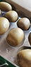 佳沛（zespri）新西蘭  陽光金果10粒巨大果單果約144-175g 中秋水果禮盒 獼猴桃 曬單實拍圖