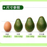 鮮級佳秘魯進(jìn)口牛油果鱷梨大果非即食生鮮水果早餐孕婦寶寶輔食新鮮當季 秒殺特惠 100-131g 【6個(gè)裝】 曬單實(shí)拍圖
