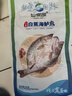 黃小漁三去海鱸魚(yú)2斤/2條 開(kāi)背鱸魚(yú) 生鮮 魚(yú)類(lèi) 海鮮水產(chǎn)夜宵燒烤食材 曬單實(shí)拍圖