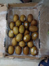 佳沛（zespri）新西蘭  陽(yáng)光金奇異果巨大果22粒原箱 單果重約144-175g 獼猴桃 曬單實(shí)拍圖