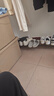 361°運動男鞋秋冬季學(xué)生復(fù)古厚底增高小白休閑板鞋子男672426615-1 曬單實拍圖