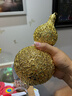 銅師傅 《花絲吉祥葫蘆》客廳 桌面 銅葫蘆擺件 家居裝飾工藝品 曬單實(shí)拍圖