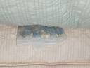 POEMOON梔子香樟腦丸衣柜衣物防霉防蟲(chóng)驅蟲(chóng)防潮驅蟲(chóng)防蛀除味母嬰級無(wú)毒 防蛀除霉消毒-梔子花香*1袋 多袋多惠【單袋1.4g/60小包】 曬單實(shí)拍圖