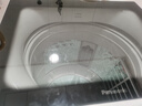 松下（Panasonic）全自動(dòng)波輪洗衣機12公斤大容量噸桶抗菌除螨洗專(zhuān)項羽絨洗人工智能超大放衣口加寬設計XQB120-8QM1 12KG抗菌除螨XQB120-Q1L1 曬單實(shí)拍圖