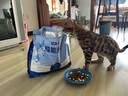 LEGENDSANDY藍氏超能奶盾全價(jià)鮮肉低溫烘焙乳酸菌幼成貓糧乳鴿1.8kg 曬單實(shí)拍圖