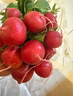 新鮮櫻桃水果蘿卜紅皮白心早餐蘸醬涼拌超市品質(zhì)京東包郵 2斤 含箱 曬單實(shí)拍圖