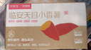 京鮮生臨安天目山小香薯凈重5斤 單果約100-200g 香甜軟糯皮薄 源頭直發(fā) 曬單實(shí)拍圖