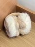 目丸可愛(ài)冬季毛絨保暖耳罩冬女冬天騎車(chē)防寒耳套防凍耳包護耳捂子耳暖 曬單實(shí)拍圖