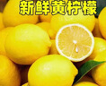 當季新鮮安岳黃檸檬新鮮薄皮奶茶店專(zhuān)用 3斤裝（單果50-70） 曬單實(shí)拍圖