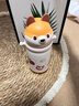 babycare兒童保溫杯嬰兒小松鼠寶寶1-3歲不銹鋼吸管水杯壺學(xué)生上學(xué)450ml 曬單實(shí)拍圖