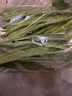寬扁豆 300g 曬單實(shí)拍圖