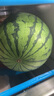 趣嘗鮮 藤上熟小蜜玉西瓜2粒 6-8斤水果1號會(huì )員店源頭直發(fā) 曬單實(shí)拍圖