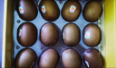 佳沛（zespri）新西蘭 陽(yáng)光金奇異果12粒禮盒特大果單果約122-146g 獼猴桃 水果 曬單實(shí)拍圖