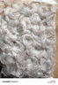 今聚鮮（dayinfresh） 大號國產(chǎn)翡翠白蝦仁1000g 活剝去蝦線(xiàn) 冷凍海鮮水產(chǎn) 生鮮 曬單實(shí)拍圖